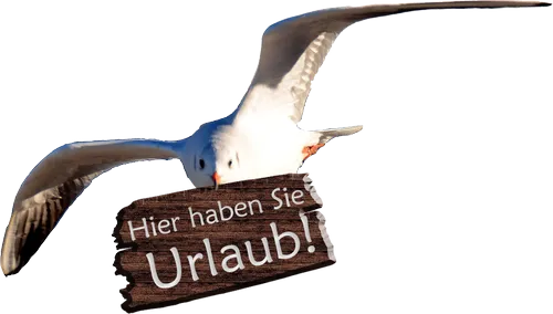 Slogan Immobilienservice Morgenstern